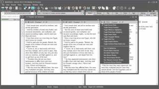 How To Use The Parallel Versions Window Bw10
