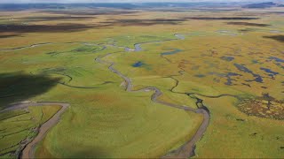 GLOBALink | Int'l experts praise China's efforts, achievements in restoring wetlands