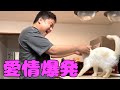 ゆきとらを愛してやまないゆめまるの末路