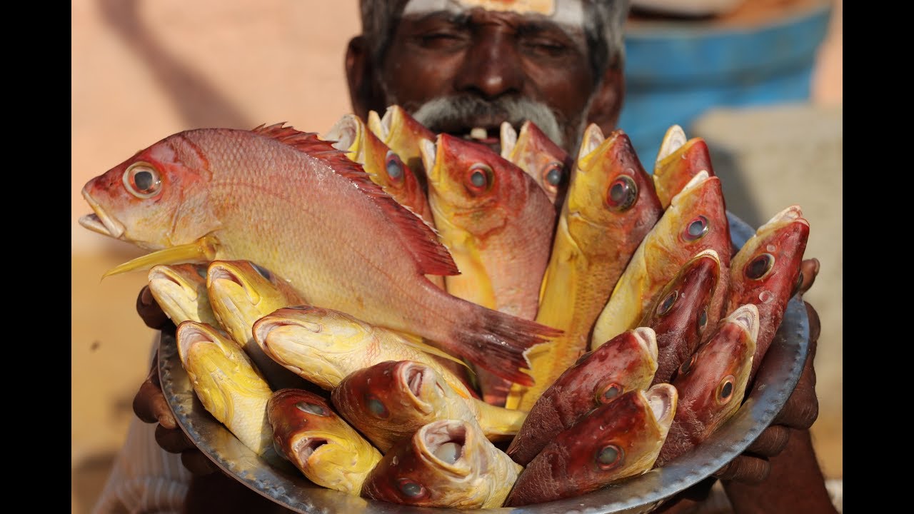 Yellow PARROT FISH Prepared my Daddy / Village food factory YouTube