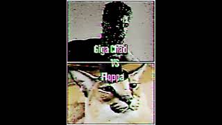 Giga Chad vs Floppa 😨😨💀(update 1945)