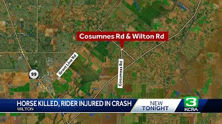 Horse dies, rider seriously injured after being hit by vehicle in Sacramento County