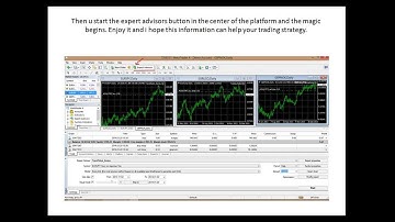 How to use more then one script , expert advisor, on one Metatrader 4 account for Forex trading!!!