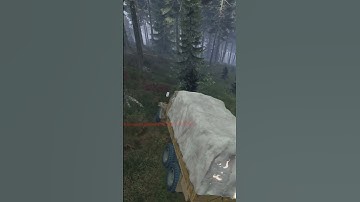 DayZ not a good shortcut. #dayz #gaming #dayzgamers  #ozzyosbourne