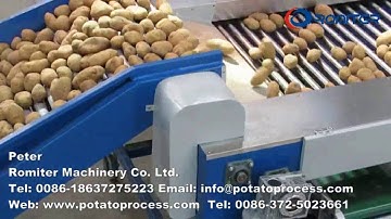 Automatic Rolling Type Potato Sorting Grader Machine-Romiter Machinery