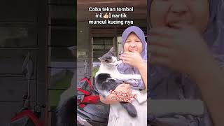 #cutecat #trendingshorts #trendingvideo #shortyoutube #shorttrending #subscribemychannel