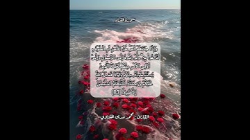 سورة النساء ٨٣ #قرآن #قرآن_كريم #قران #قران_كريم #قرأن #quran