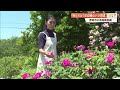 亡き父と30年育てた庭園《イングリッシュガーデン》150種・200本のバラ見頃【香南市】 (26/05/22 19:33)