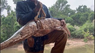 Alligator Gar Unleashed: Epic Fishing Encounter!