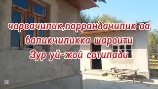 картинка: ☎️+998900538542 Тошкент вилоятида Уй сотилади.
