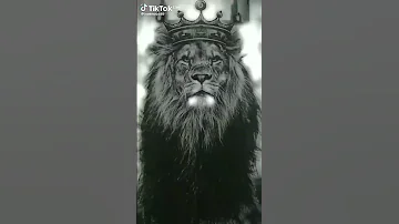 مانعرف شمعنا الخوف 