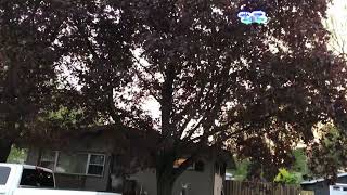 Cheap Drone but A lot of Fun 🤩- Eachine E65HW Led Drone