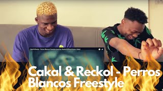 JT VLOGS REACT TO Cakal & Reckol - Perros Blancos Freestyle