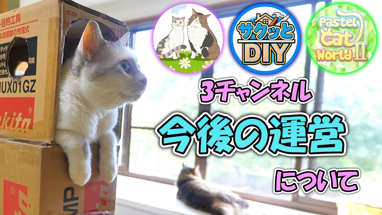 「サクッとDIY」がYouTube世界全体でも極めて稀な大記録を達成しました!本当にありがとうございました😊