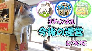 「サクッとDIY」がYouTube世界全体でも極めて稀な大記録を達成しました！本当にありがとうございました😊