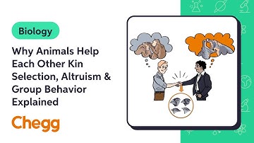 Why Animals Help Each Other Kin Selection, Altruism & Group Behavior Explained