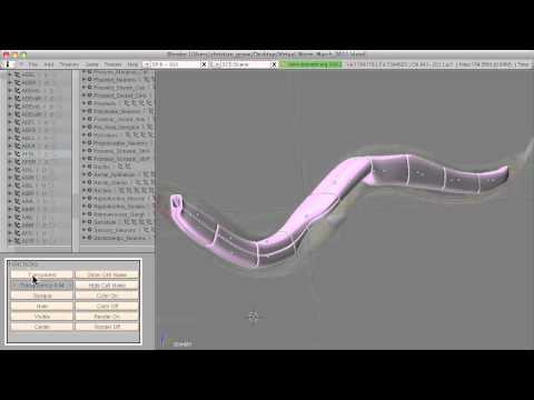 Virtual Worm Tutorial #8.mp4