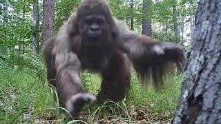 MOST STARTLING ENCOUNTER ON TRAIL-CAM!