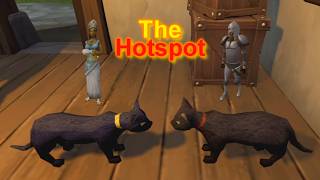 Runescape: The Hotspot - Bob the Cat