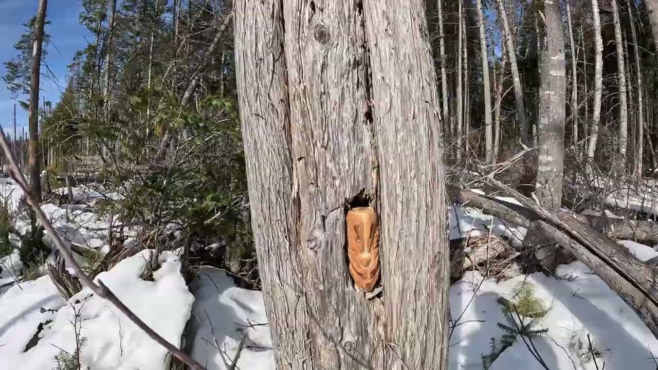 Sunny Winter's Day Walk