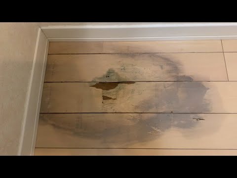 床に落ちてました フローリングキズ(床腐食)補修 - YouTube