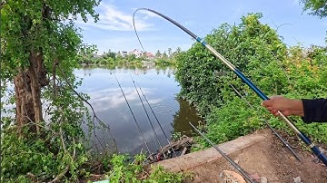 Câu lục đầu cần đóng toàn hàng khủng