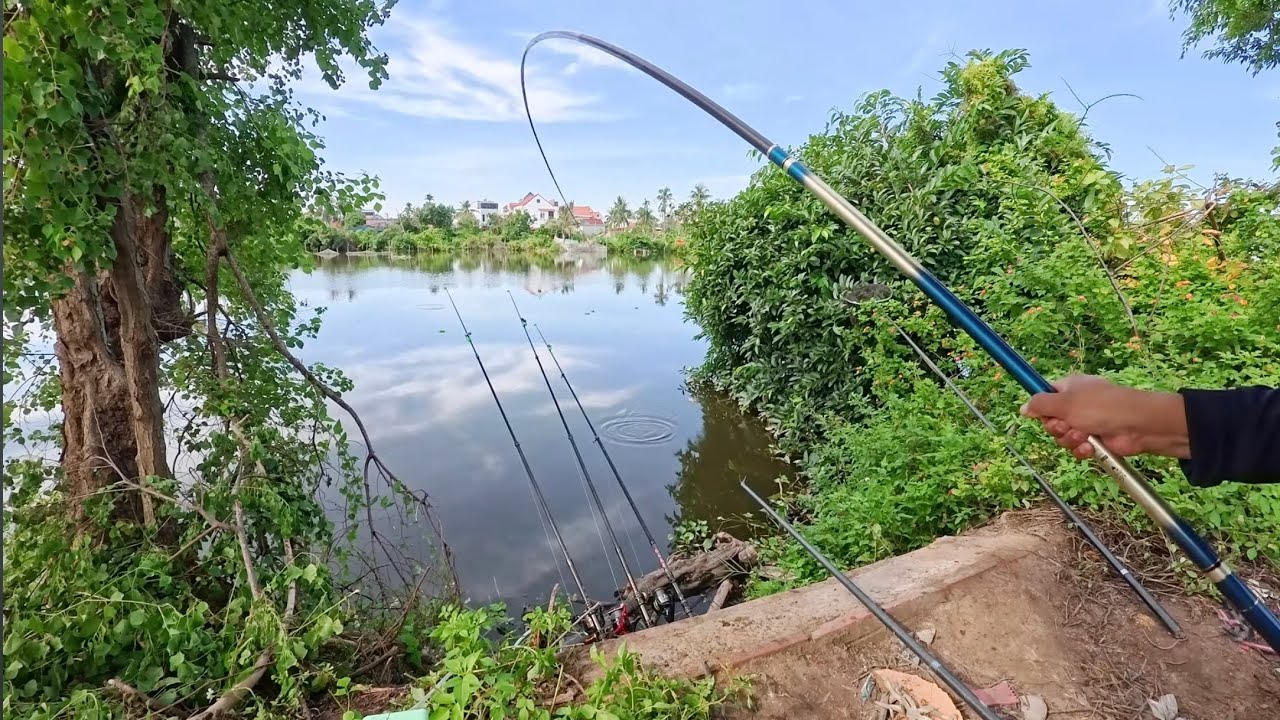 Câu lục đầu cần đóng toàn hàng khủng