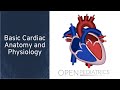 "Basic Cardiac Anatomy and Physiology" by Nancy Braudis for OPENPediatrics