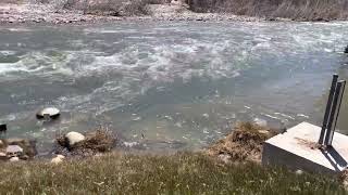 Upper Kern River Conditions April , 2023