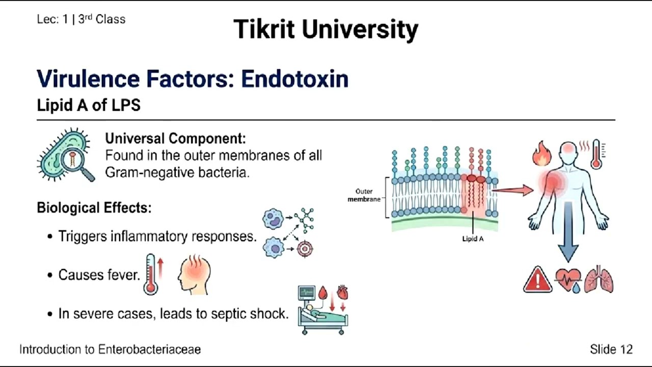 المايكرو - طب تكريت 3rd - المحاضرة العاشرة - (Enterobactriacea) | اكاديمية هكرناها الطبية
