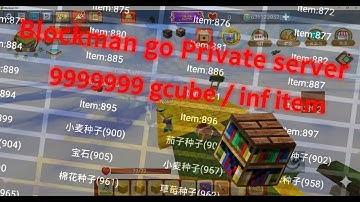 Blockman GO Private Server Sky Block INF coin/Item