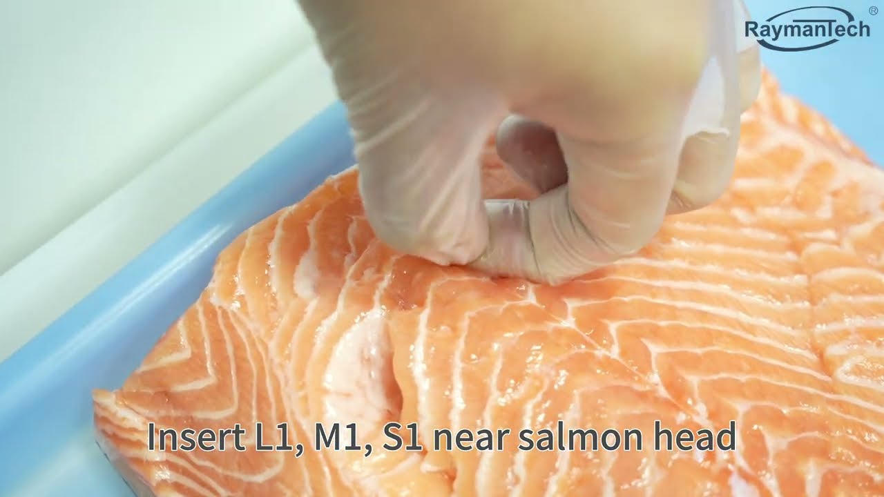Detecting Pin Bones in Salmon Fillets