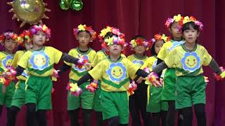 203你是我的花朵