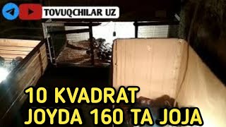 Interns porno serialini tomosha qiling