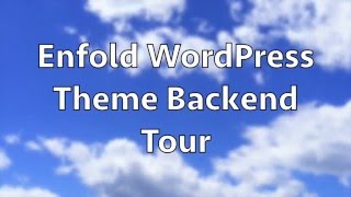 Best WordPress Theme - Enfold Backend Tour