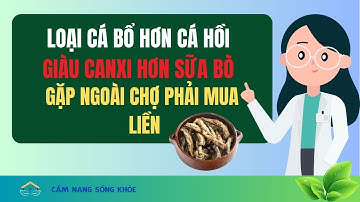 Gặp loài cá này ở chợ Việt nên mua ngay, được Mỹ đánh giá “bổ hơn cá hồi”, giàu canxi hơn sữa bò.