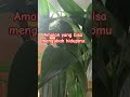 Amalan yang bisa mengubah hidupmu