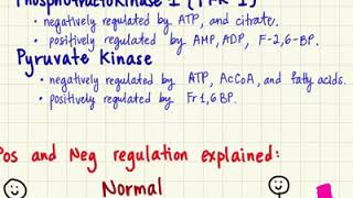Fermentation, Regulation of Glycolysis, Pentose Phosphate Pathway, and the Krebs cycle!