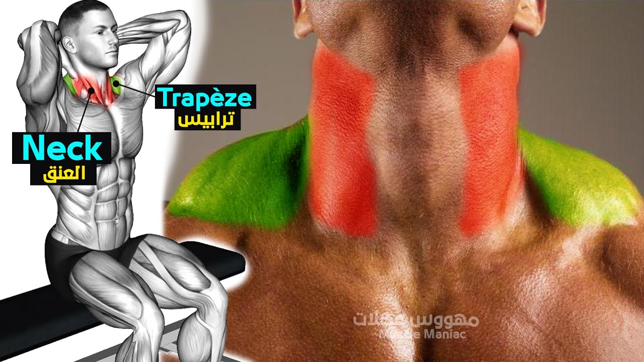 Best Exercise Neck Workout