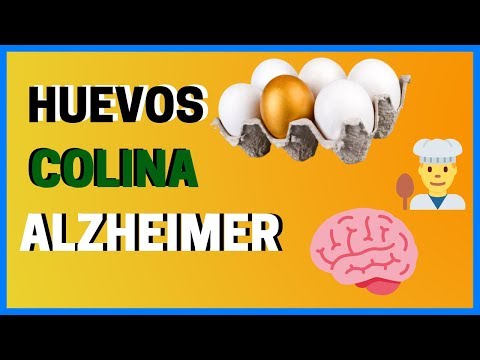 Video: ¿Todos los huevos tienen colina?