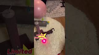 Rechargeable Long Range Laser Pointer for Cats with Star Cap & Adjustable Focus