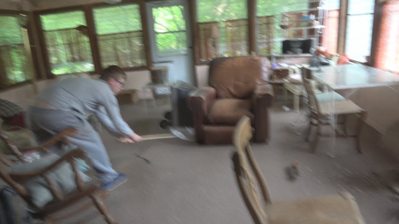 Two squirrels IN MY HOUSE YouTube