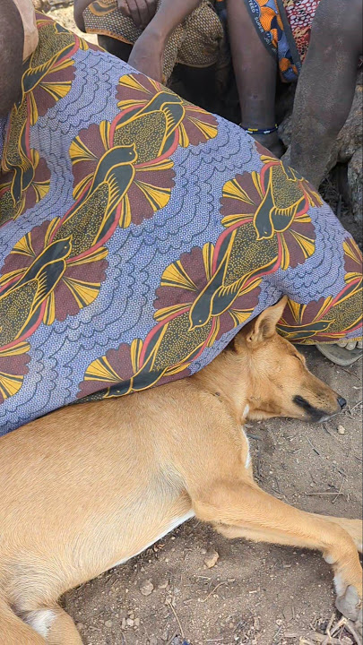 Download lagu Tsipitiko