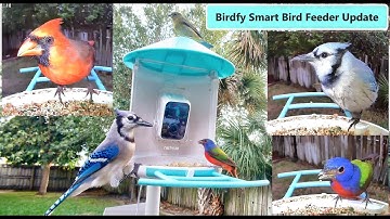 Netvue Birdfy Smart Bird Feeder With Camera Update