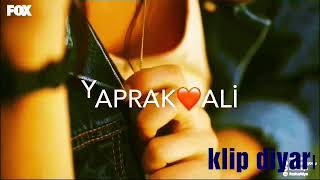Yaprakali Klip