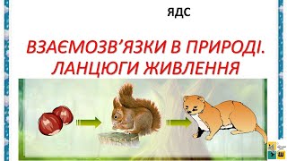 картинка: 72 ВЗАЄМОЗВ’ЯЗКИ В ПРИРОДІ  ЛАНЦЮГИ ЖИВЛЕННЯ
