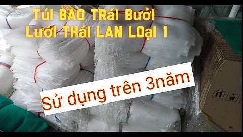 Cung cấp túi bao trái bưởi. lưới Thái lan loại 1 . sử dụng trên 3 năm. 0335399558