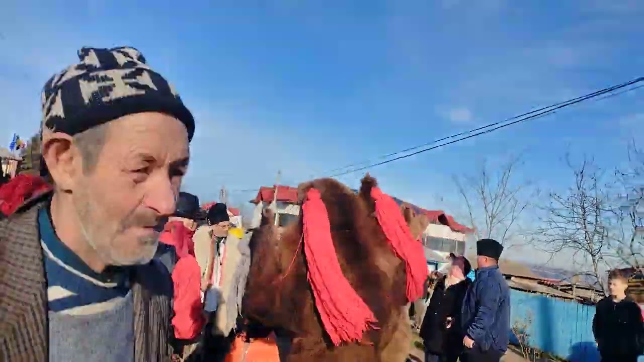 Traditi Comuna Focuri 2022/2023