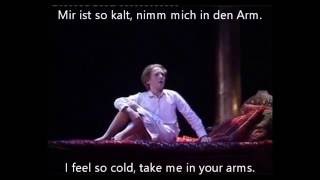 Elisabeth the musical (2002) - 23 Mama, Where are You? (German subs & English translation)