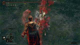 Partisan is the best aggressive weapon in Elden Ring